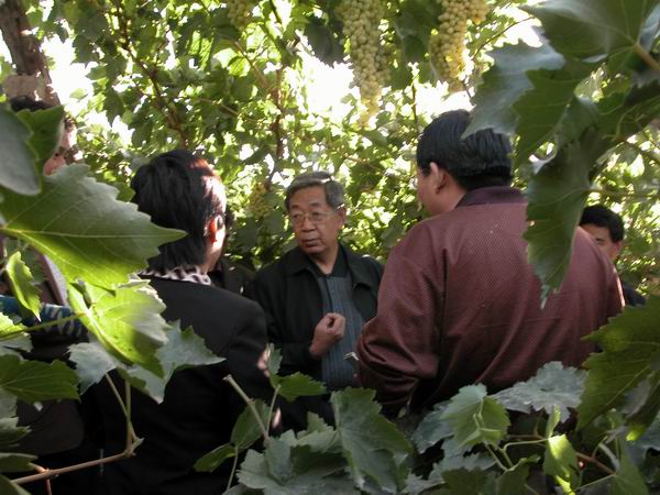 9��11���S�����ϯ����ػ��ǻ��(xi��ng)Ŀ�Ϻ����ш@