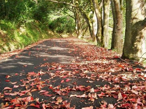 �ϙ�t�~����