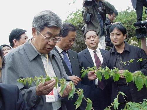 �S��贸�ί�T�L(zh��ng)ҕ����y�����L(zh��ng)��r